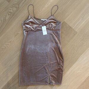 Pink Rose Velvet Mini Dress in Champaign color.